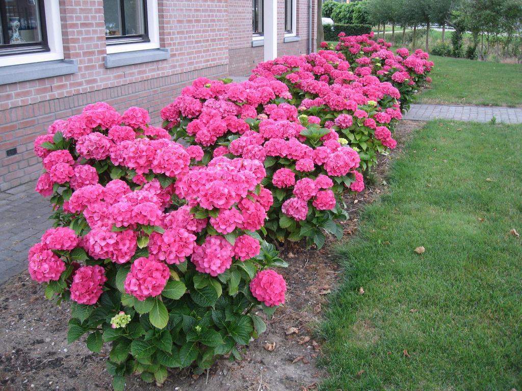 B&B Oostzomerland Mijnsheerenland Bagian luar foto
