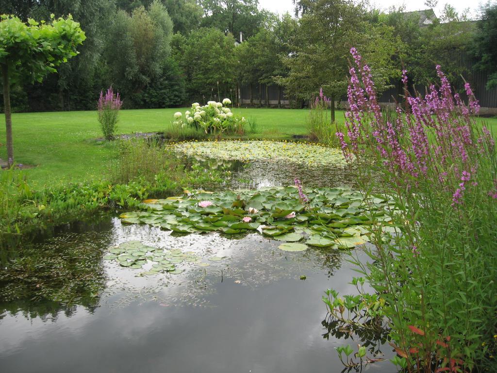 B&B Oostzomerland Mijnsheerenland Bagian luar foto